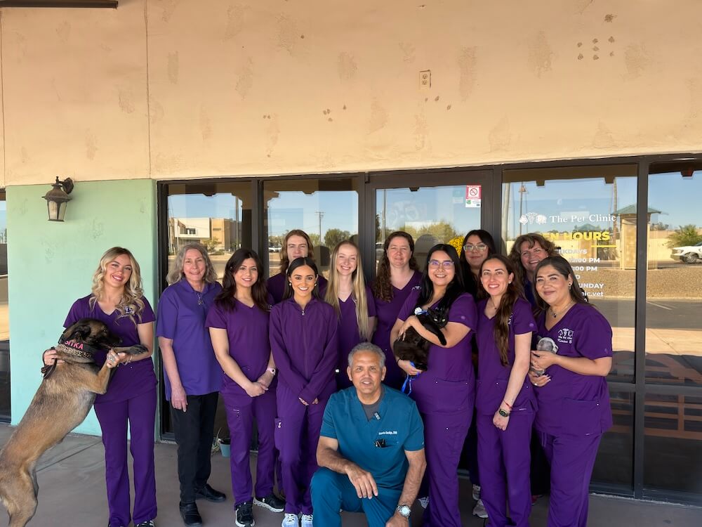 Full service animal hospital in Somerton, AZ