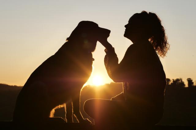 Compassionate End-of-Life Care
