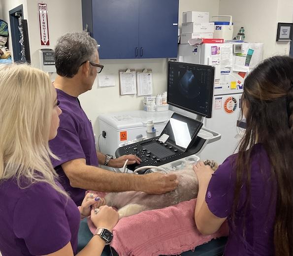 Diagnostic Capabilities